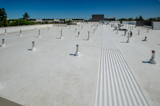 Best Roof Coating Services  in Peachtree City, GA